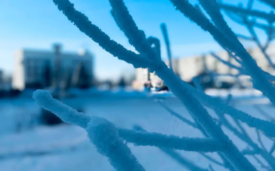 О проведении ряда мероприятий в сфере электронной коммерции и ритейла